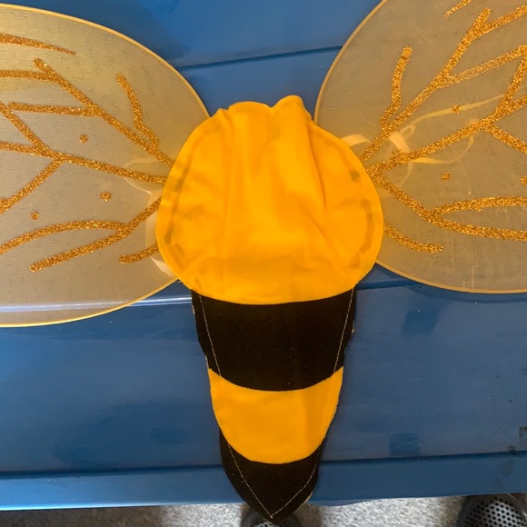 halloween spirit Other - Bee 🐝 wings (extras come with)